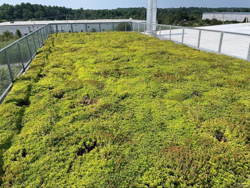 Equipe realizando manutenção em telhado verde